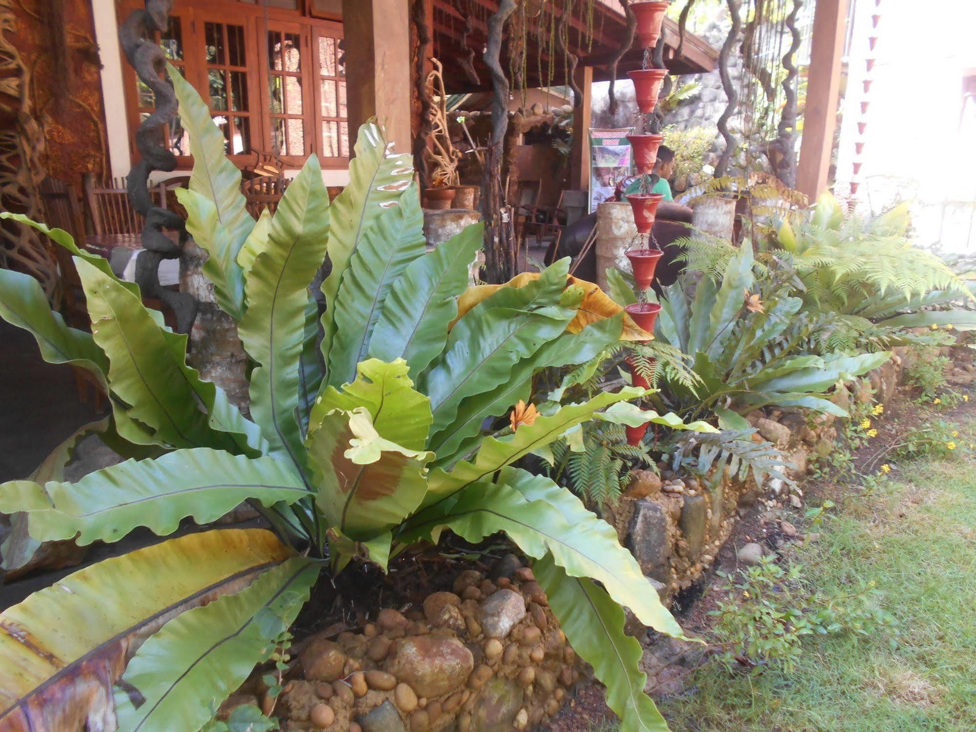 Sapphire Holiday Resort Ratnapura Exteriör bild